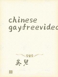 chinesegayfreevideo封面