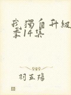 我独自升级第二季14集