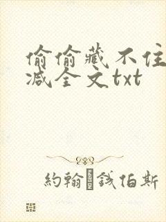 偷偷藏不住无删减全文txt