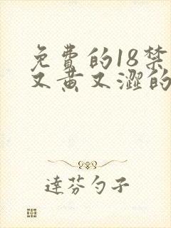 免费的18禁的又黄又涩的网站