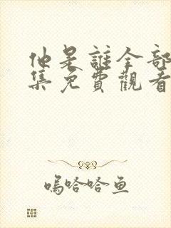 他是谁全部24集免费观看