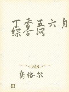 丁香五六月婷婷综合网