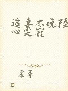 追妻不晚陆少的心尖宠