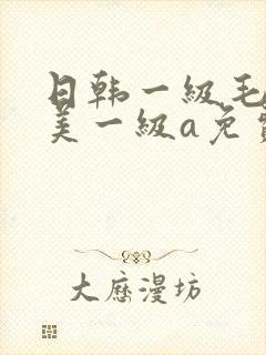 日韩一级毛一欧美一级a免费