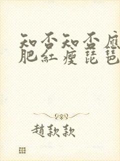 知否知否应是绿肥红瘦琵琶谱