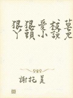 狠狠爱校草宠坏丫头小说免费阅读