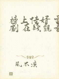 榜上佳婿 电视剧 在线观看