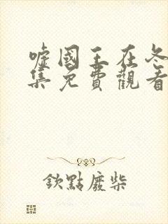 嘘国王在冬眠全集免费观看封面