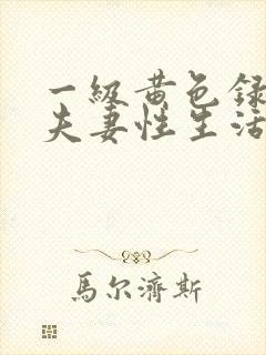 一级黄色录像片夫妻性生活片免费看