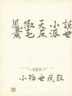 凤傲天小说里的黄毛反派也想幸福沐恩封面