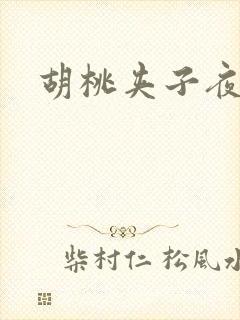 胡桃夹子夜未眠