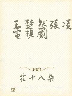 王楚然张凌赫的电视剧