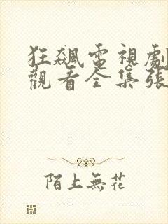 狂飙电视剧免费观看全集张译封面