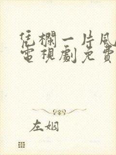 凭栏一片风云起电视剧免费观看