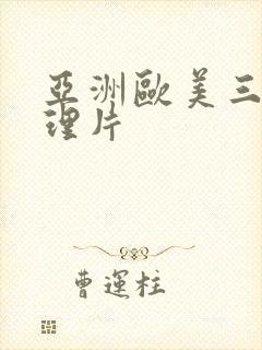 亚洲欧美三级伦理片