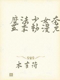 魔法少女奈叶第五季动漫免费封面