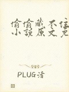 偷偷藏不住竹已小说原文免费阅读