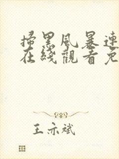 扫黑风暴连续剧在线观看免费完整版