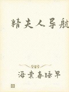 精夫人导航封面