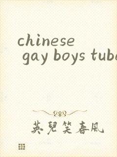 chinese gay boys tube封面
