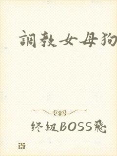 调教女母狗91封面