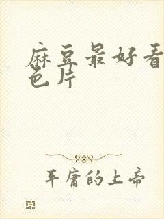 麻豆最好看的黄色片