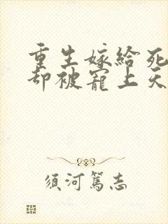 重生嫁给死对头却被宠上天封面