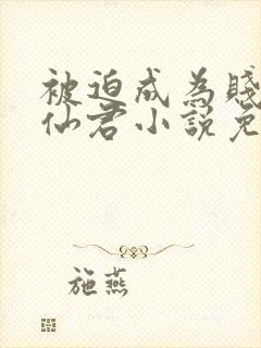 被迫成为贱妾的仙君小说免费阅读最封面