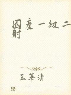 国产一级二片内射