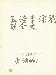 王浩李洁刘静小说全文封面