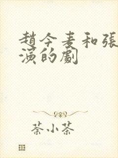 赵今麦和张凌赫演的剧封面