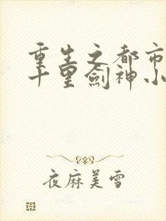 重生之都市修仙十里剑神小说封面