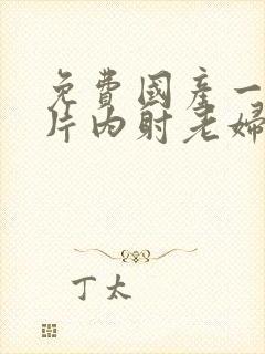 免费国产一级r片内射老妇电影