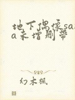 地下偶像sana未增删带
