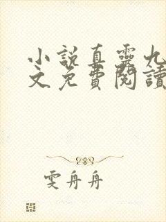 小说真灵九变全文免费阅读