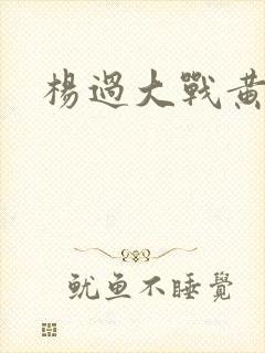 杨过大战黄蓉封面