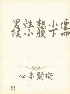 男性想小便的时候小腹下面会疼是怎么回事