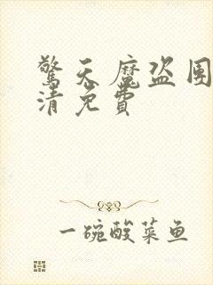 惊天魔盗团2高清免费