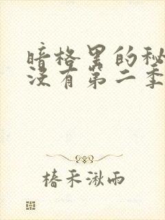 暗格里的秘密有没有第二季