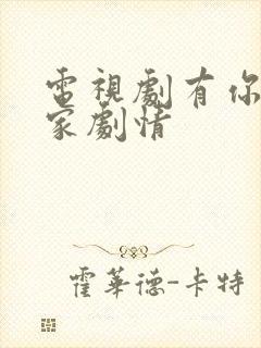 电视剧有你才有家剧情封面