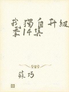 我独自升级第二季14集