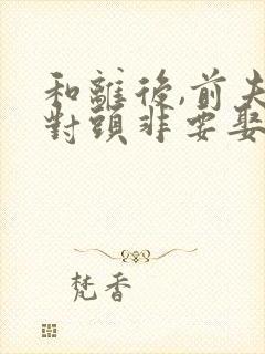 和离后,前夫死对头非要娶我小说