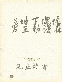 《地下偶像》双男主动漫在线播放封面