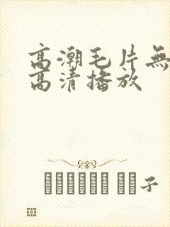 高潮毛片无遮挡高清播放封面