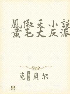 凤傲天小说里的黄毛大反派也想要幸福小说