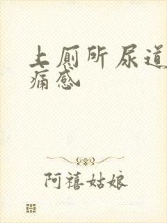 上厕所尿道有刺痛感封面