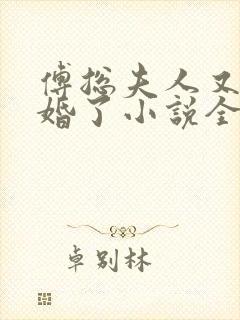 傅总夫人又闹离婚了小说全文阅读