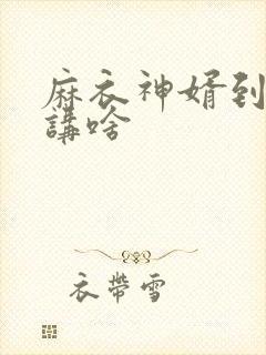 麻衣神婿到底在讲啥