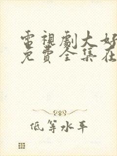 电视剧大好时光免费全集在线观看