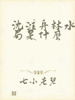 沈淮舟林水伊结局是什么